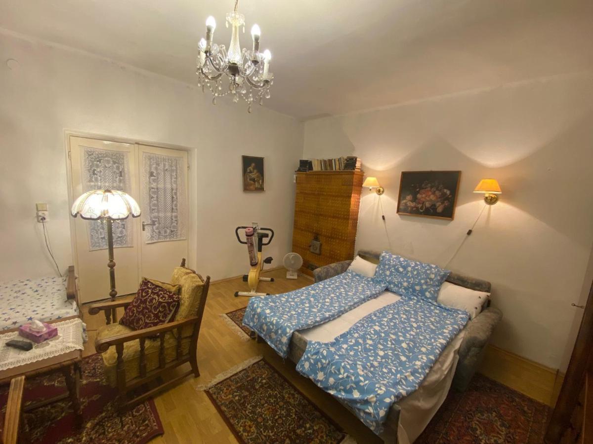 Grany'S Retro Guesthouse Near Budapest Airport Vecses Bagian luar foto